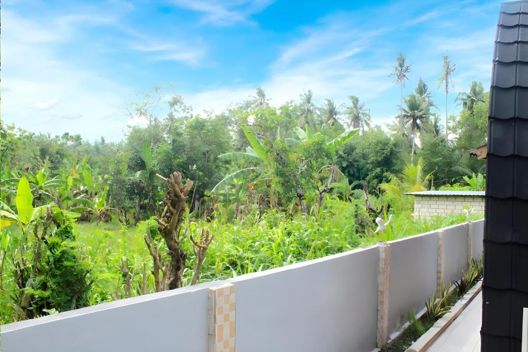 Photo of Others in Penida Island
