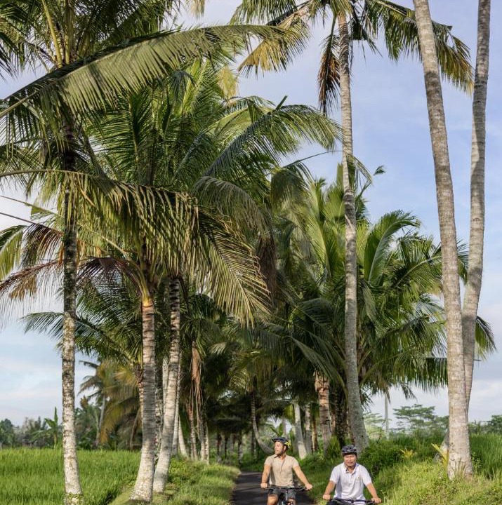 Photo of Others in Ubud