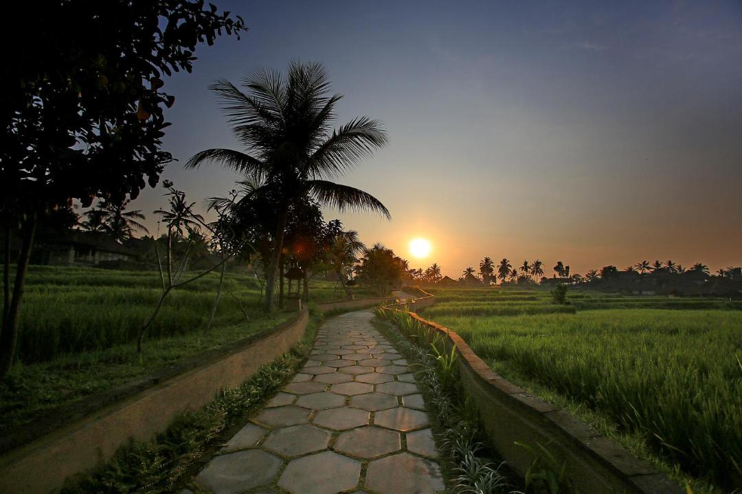 Photo of Others in Ubud