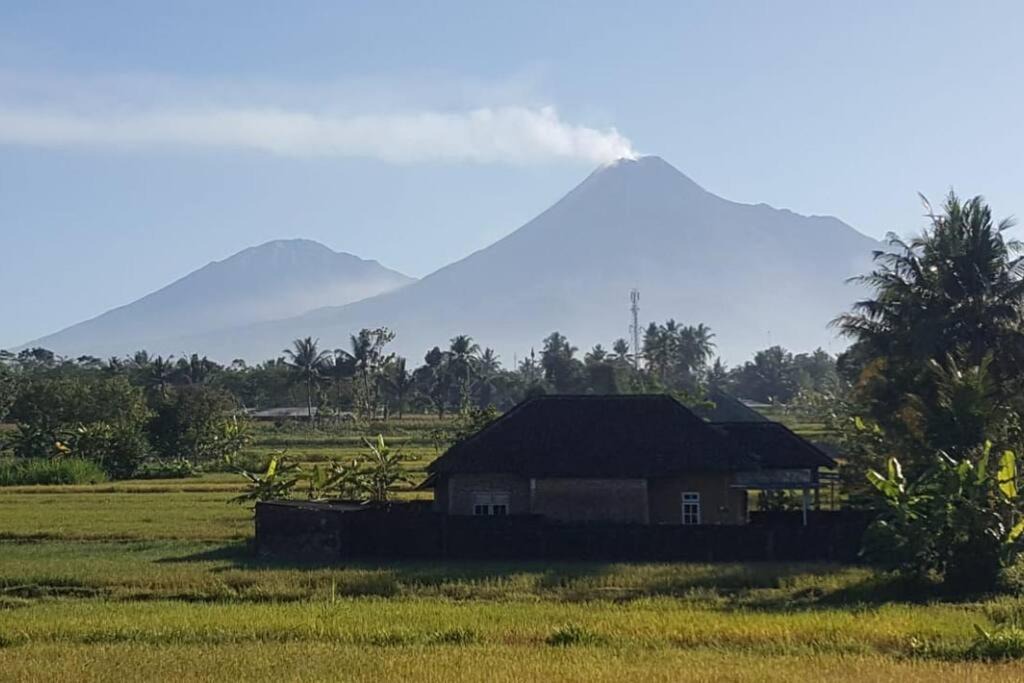 Photo of Others in Ngaglik