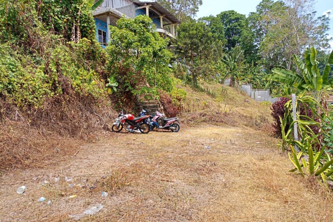Photo of Others in South Ogan Komering Ulu