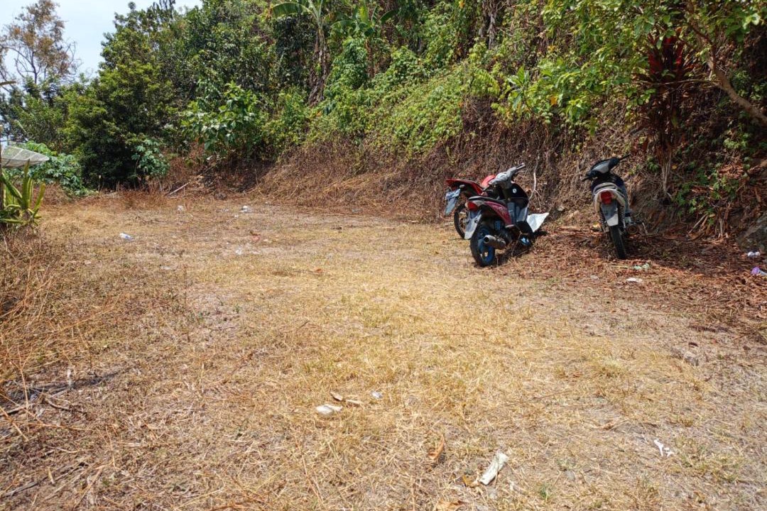 Photo of Others in South Ogan Komering Ulu