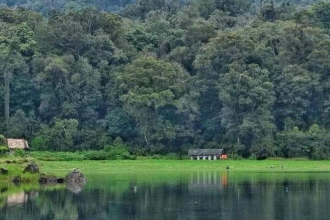 Photo of Outdoor in Rancabali
