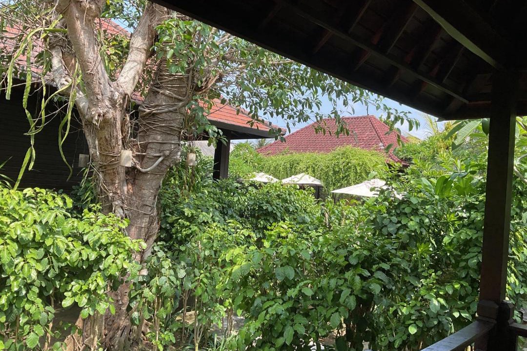 Photo of Others in Jungut Batu