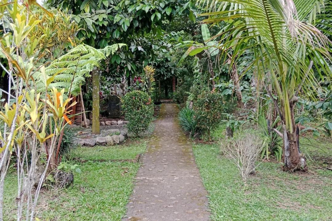 Photo of Outdoor in Selemadeg