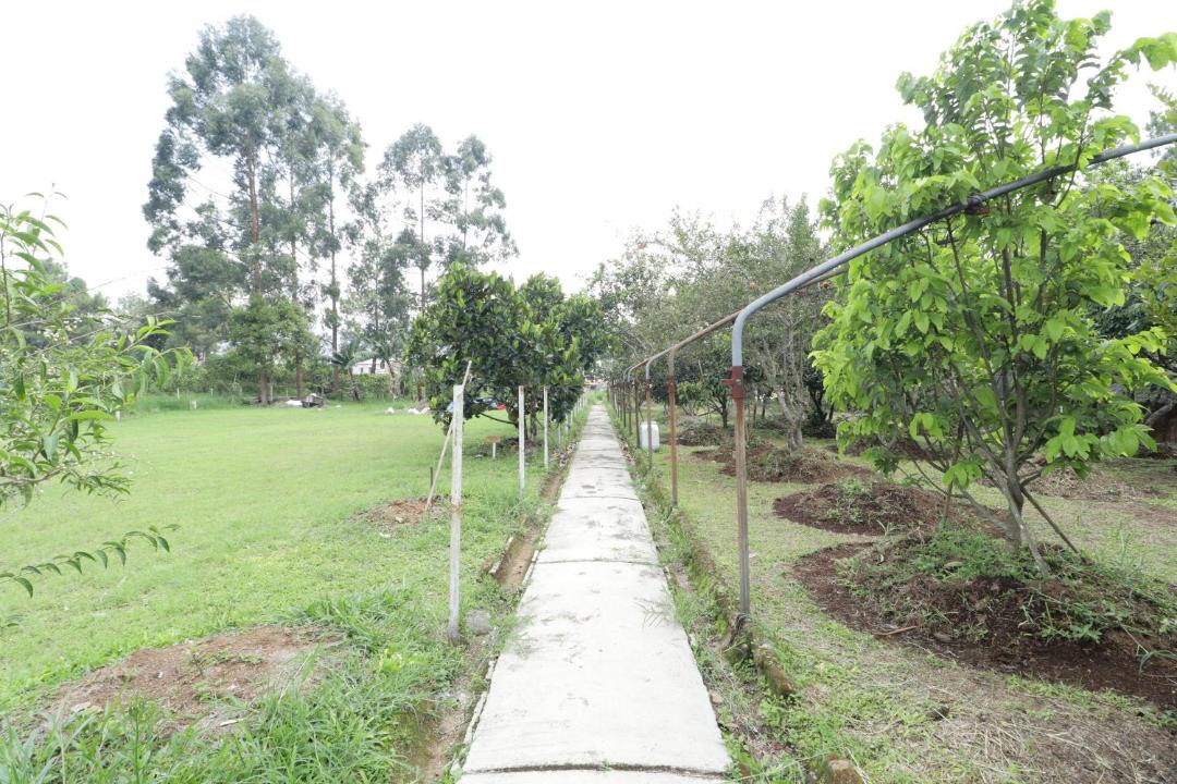 Photo of Others in Cikole