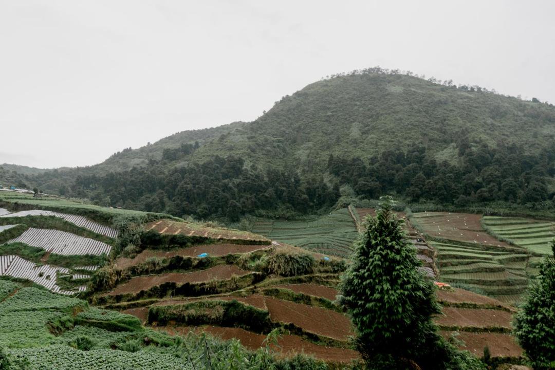 Photo of Others in Dieng Kulon