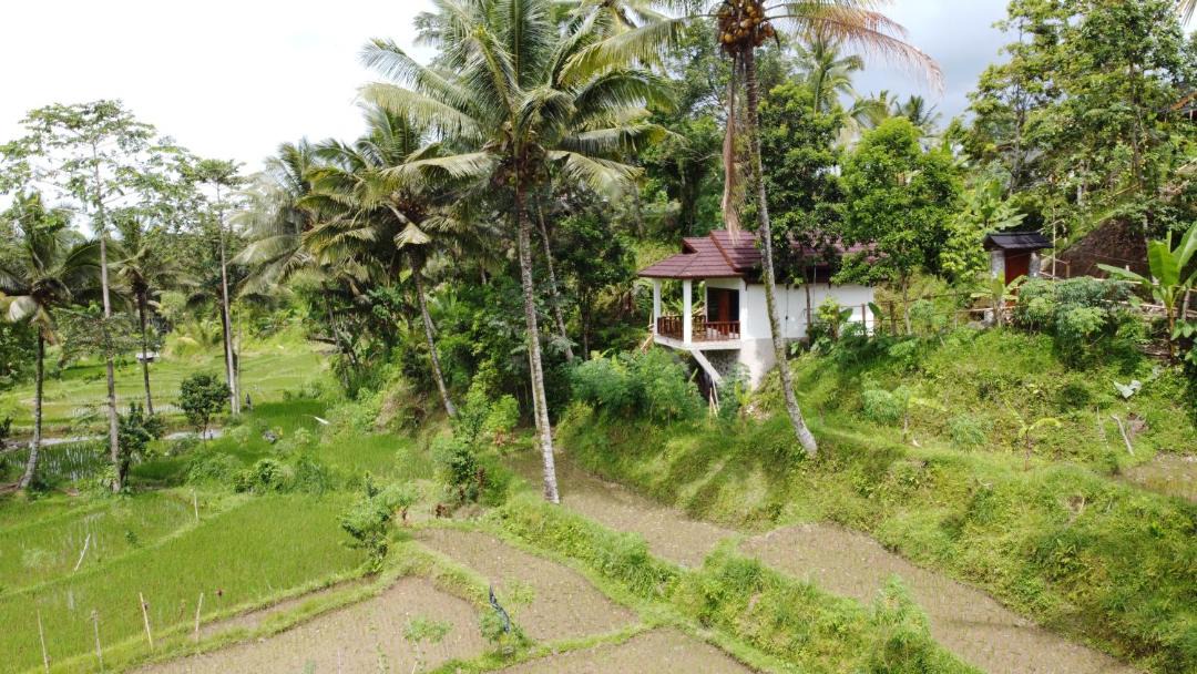 Photo of Others in Tetebatu