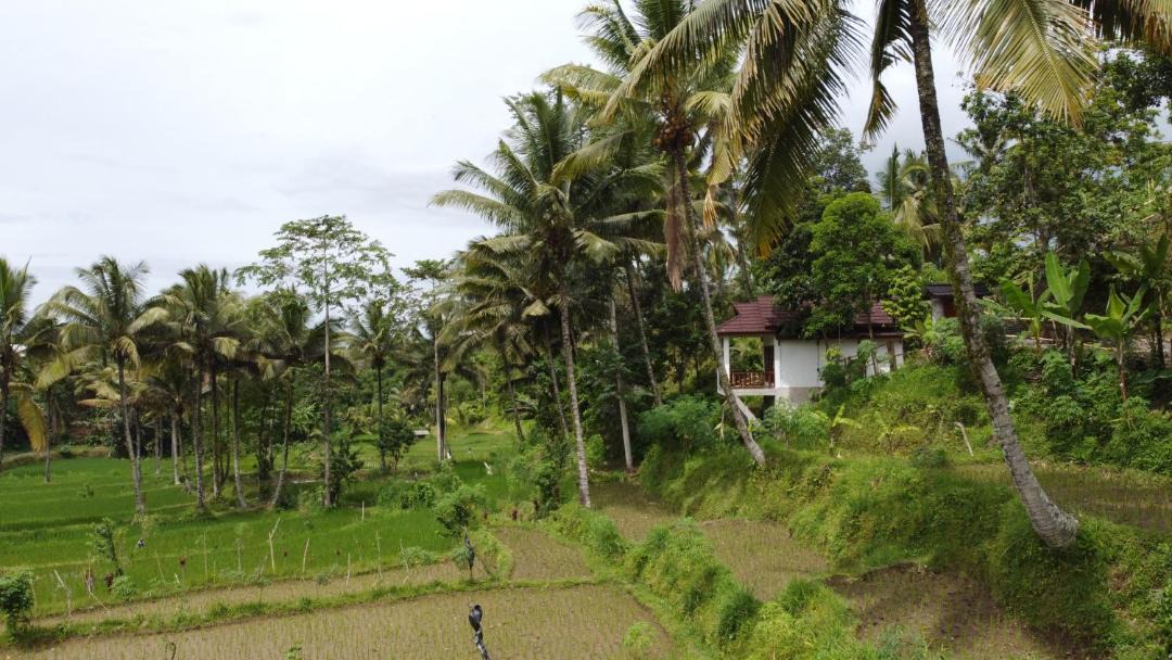 Photo of Others in Tetebatu