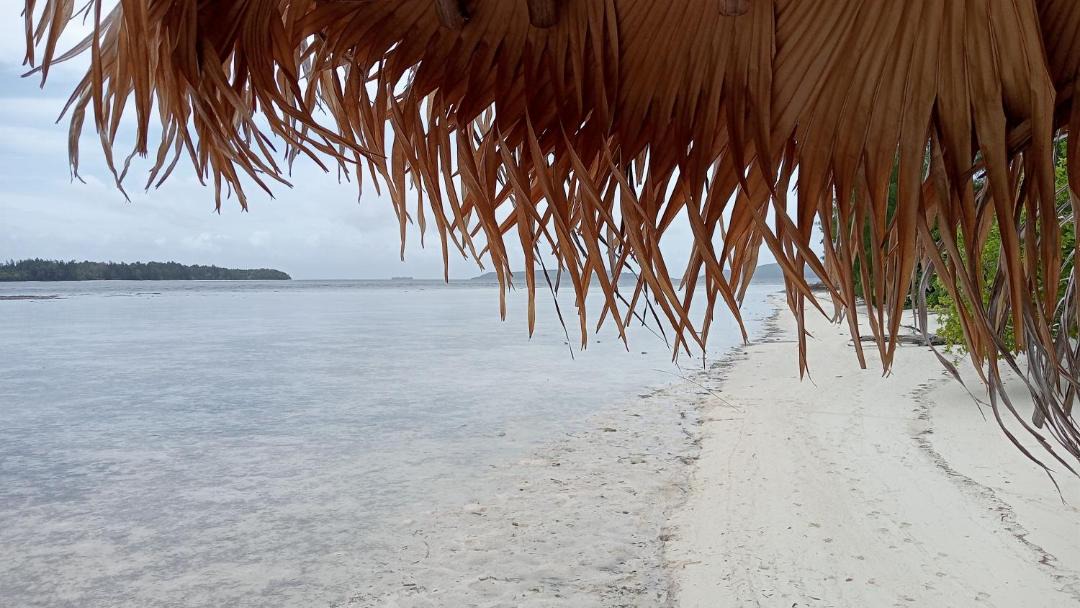 Photo of Others in Raja Ampat