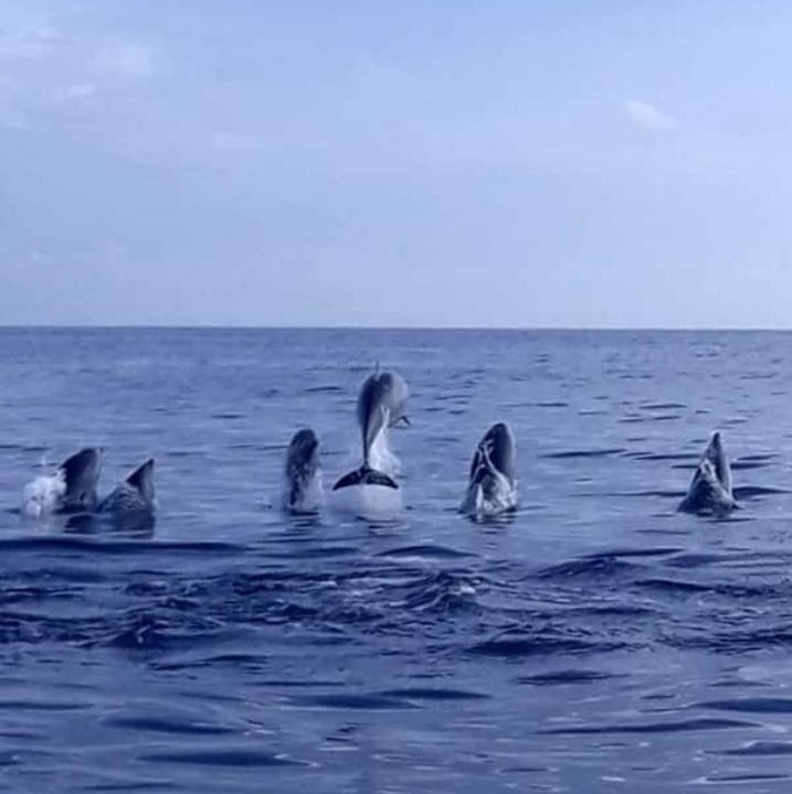 Photo of Others in Lovina