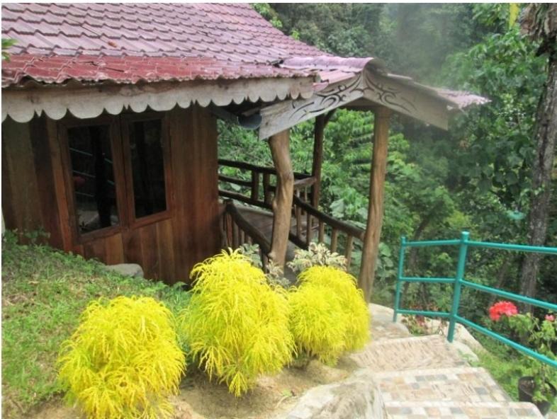 Photo of Others in Bukit Lawang