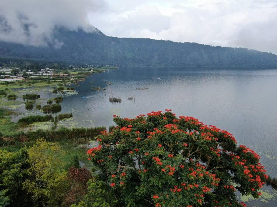 Photo of Others in Candikuning