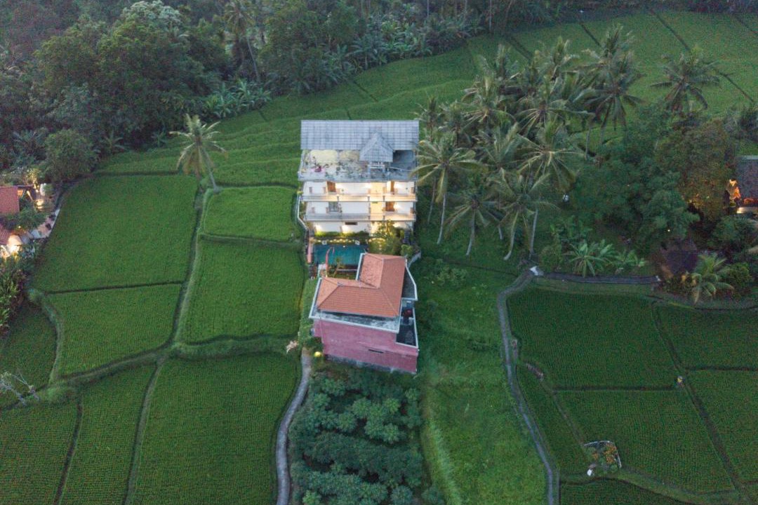 Photo of Others in Ubud City-Centre