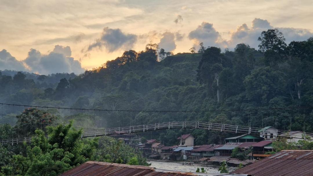 Photo of Others in Bukit Lawang