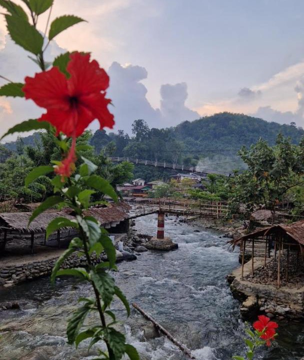 Photo of Others in Bukit Lawang