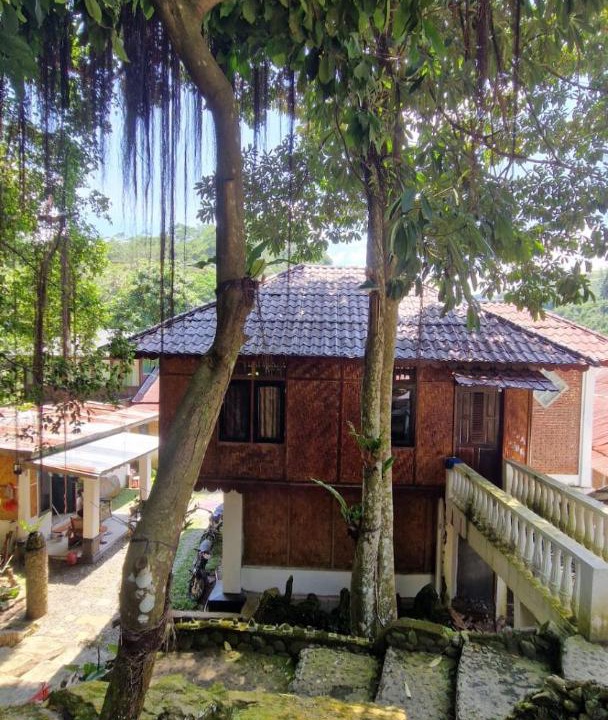 Photo of Others in Bukit Lawang