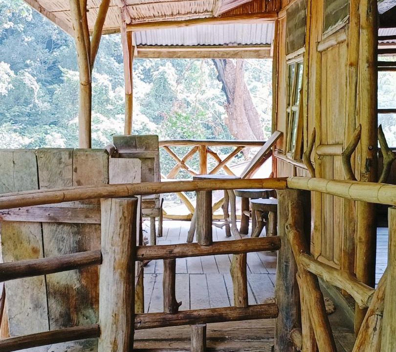 Photo of Others in Bukit Lawang