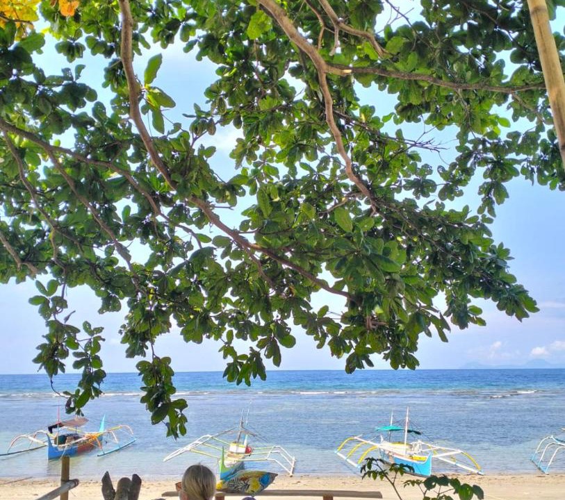 Photo of Others in North Sulawesi