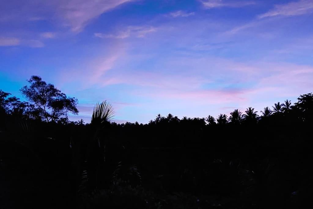 Photo of Others in East Selemadeg