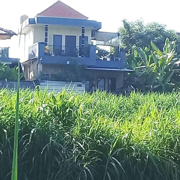 Photo of Others in Saba