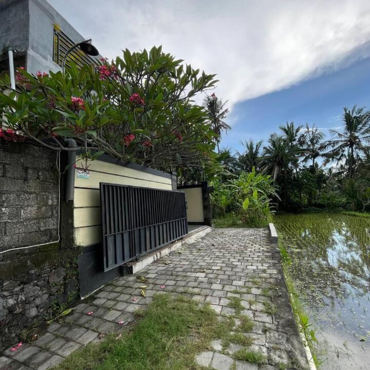 Photo of Others in Saba