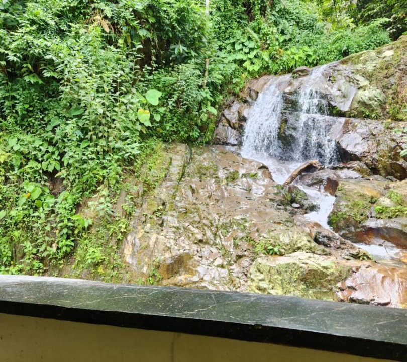 Photo of Others in Bukit Lawang