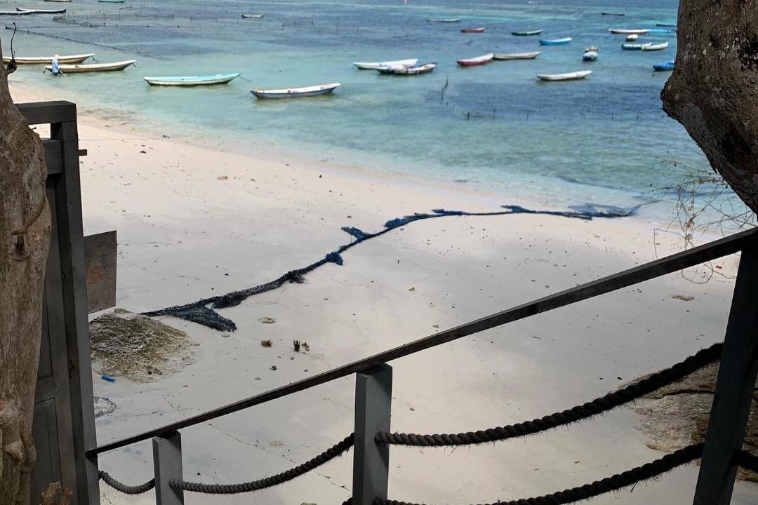 Photo of Others in Mushroom Bay