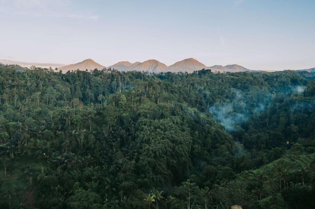 Photo of Others in Payangan