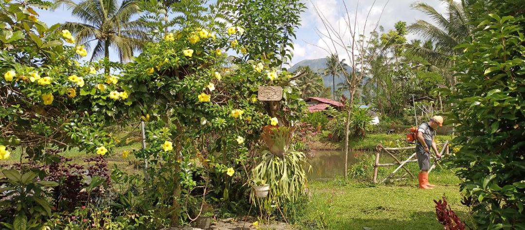Photo of Others in Tomohon