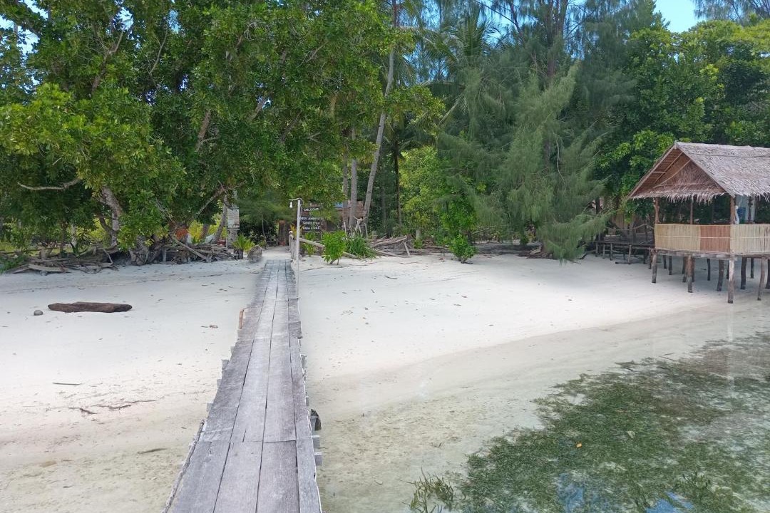 Photo of Others in Raja Ampat