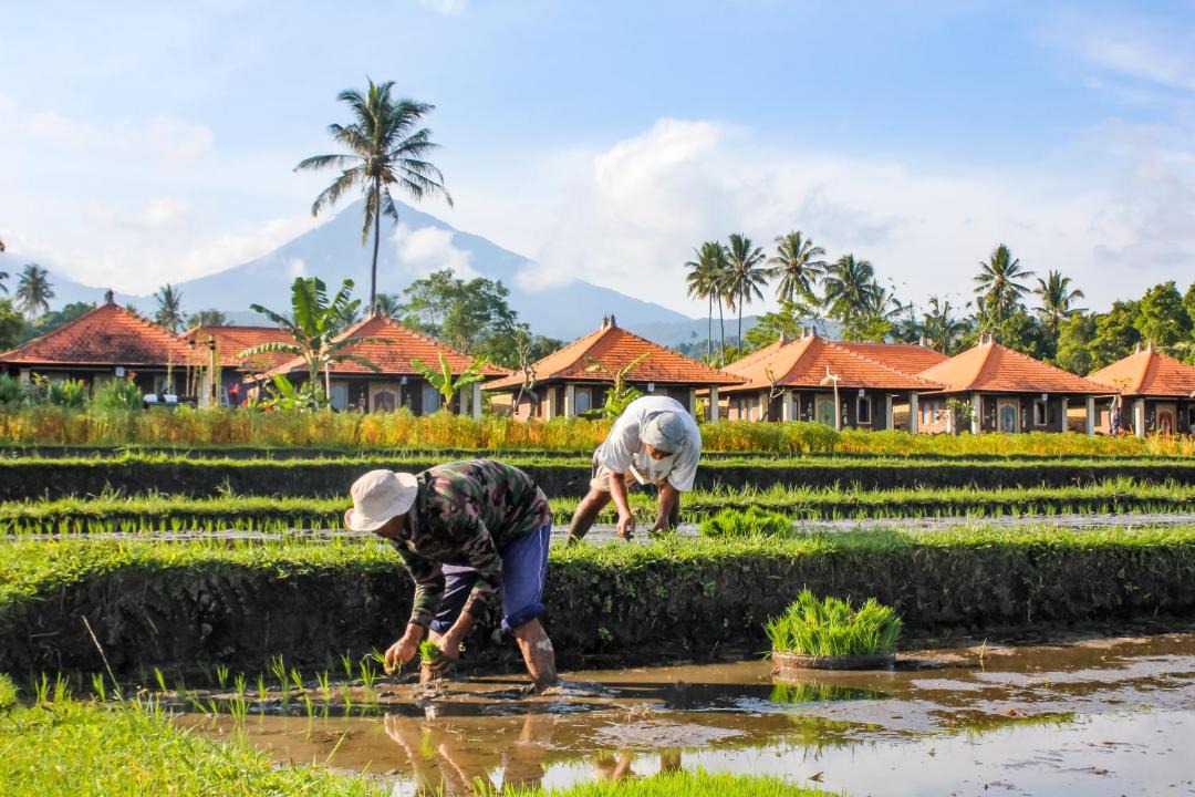 Photo of Others in Banjartegehe