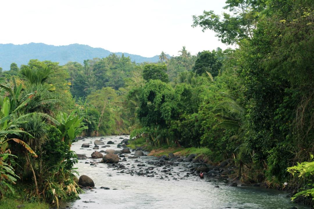 Photo of Others in Medewi