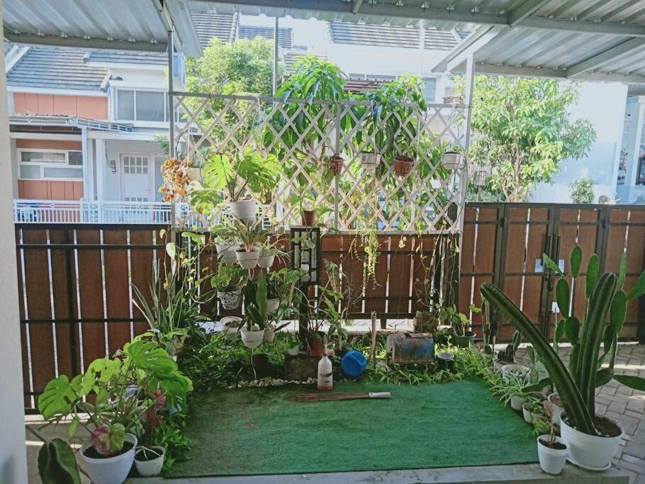 Photo of Others in Dinoyo