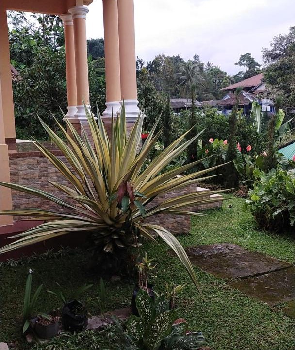 Photo of Others in Cugenang
