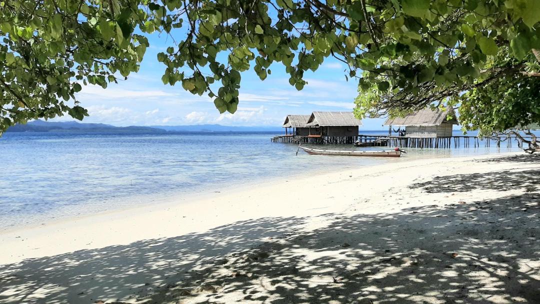 Photo of Others in Mansuar Island