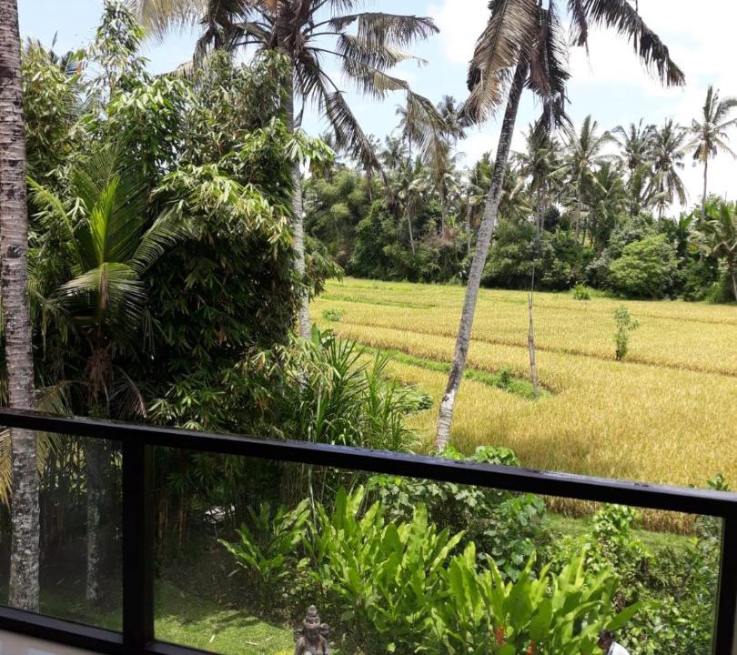Photo of Others in Kemenuh