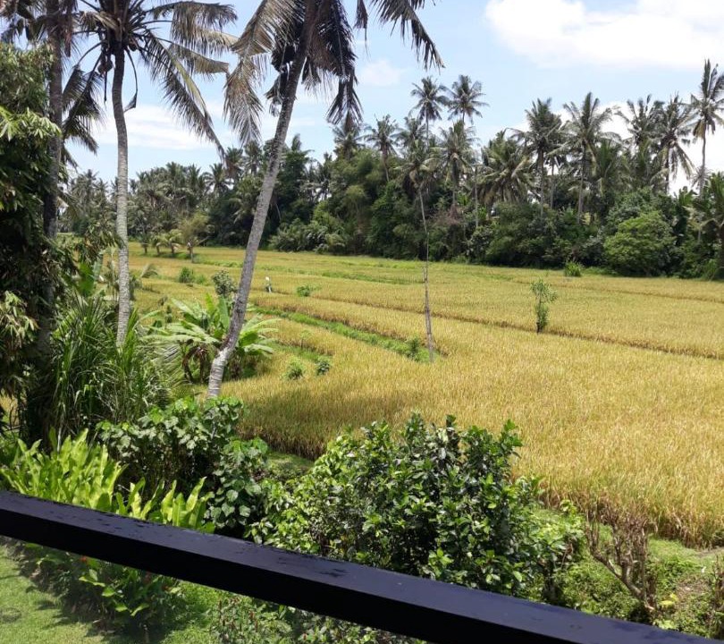 Photo of Others in Kemenuh