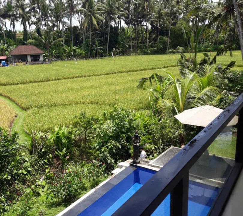 Photo of Others in Kemenuh
