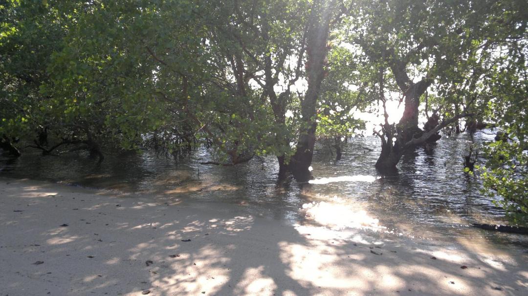 Photo of Others in Bunaken