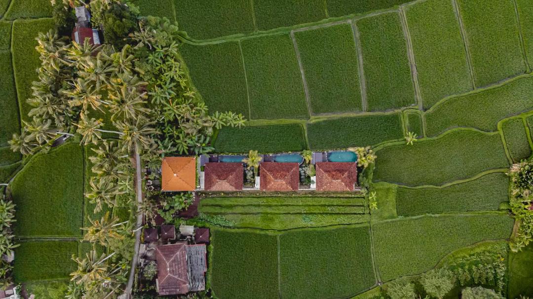 Photo of Others in Ubud City-Centre
