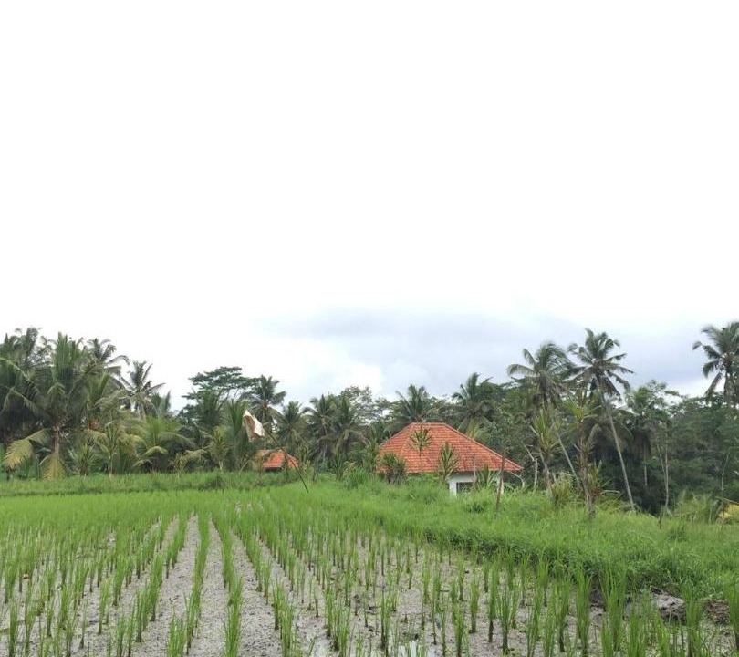 Photo of Others in Petak