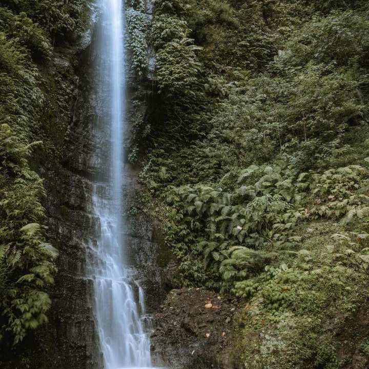 Photo of Others in Munduk