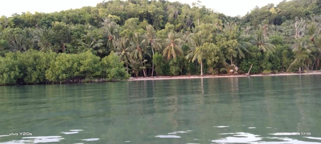 Photo of Others in Bawean Island