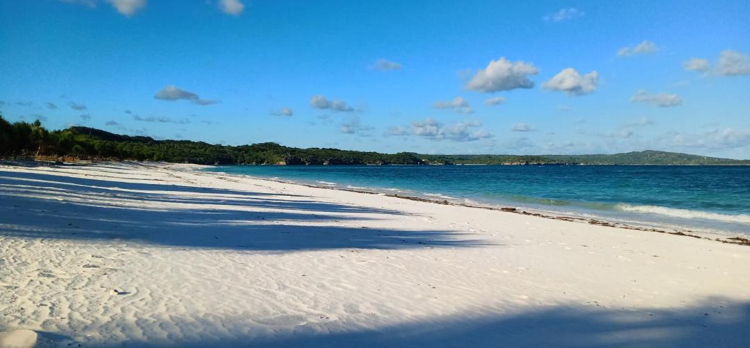 Photo of Others in Rote Island