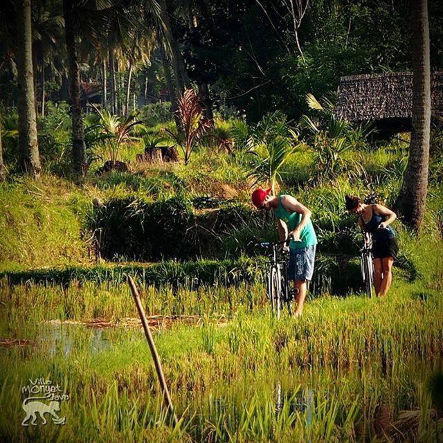 Photo of Others in Batu Karas
