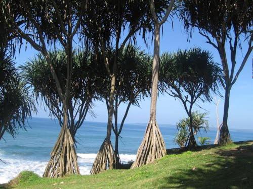 Photo of Others in Batu Karas