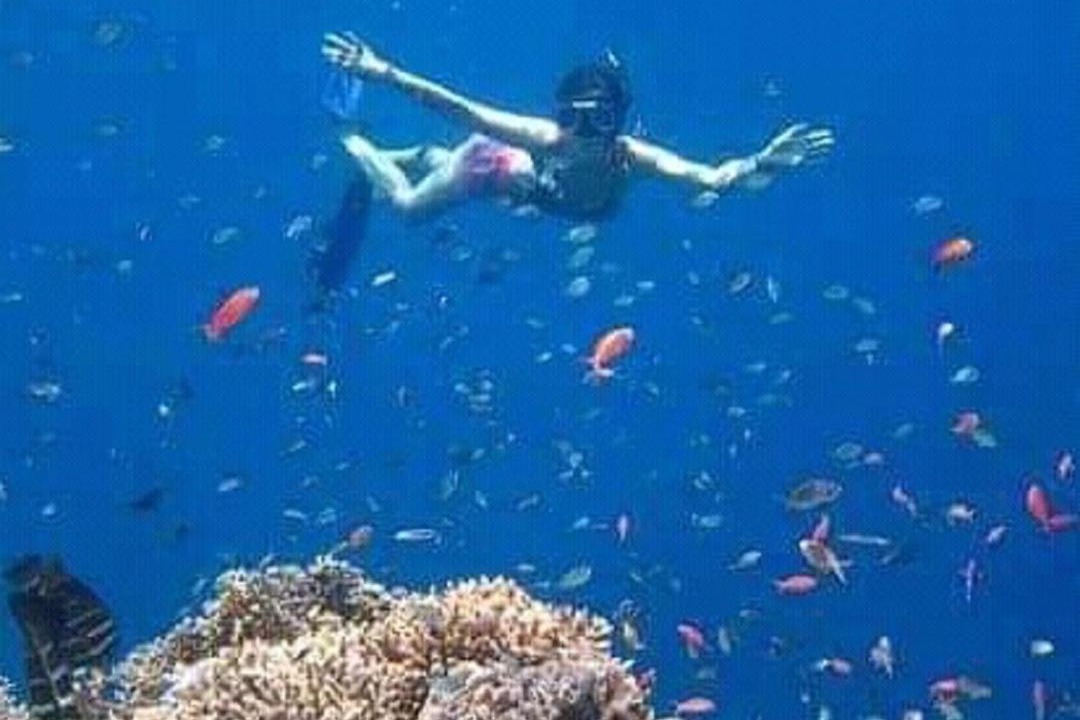 Photo of Others in Pejarakan