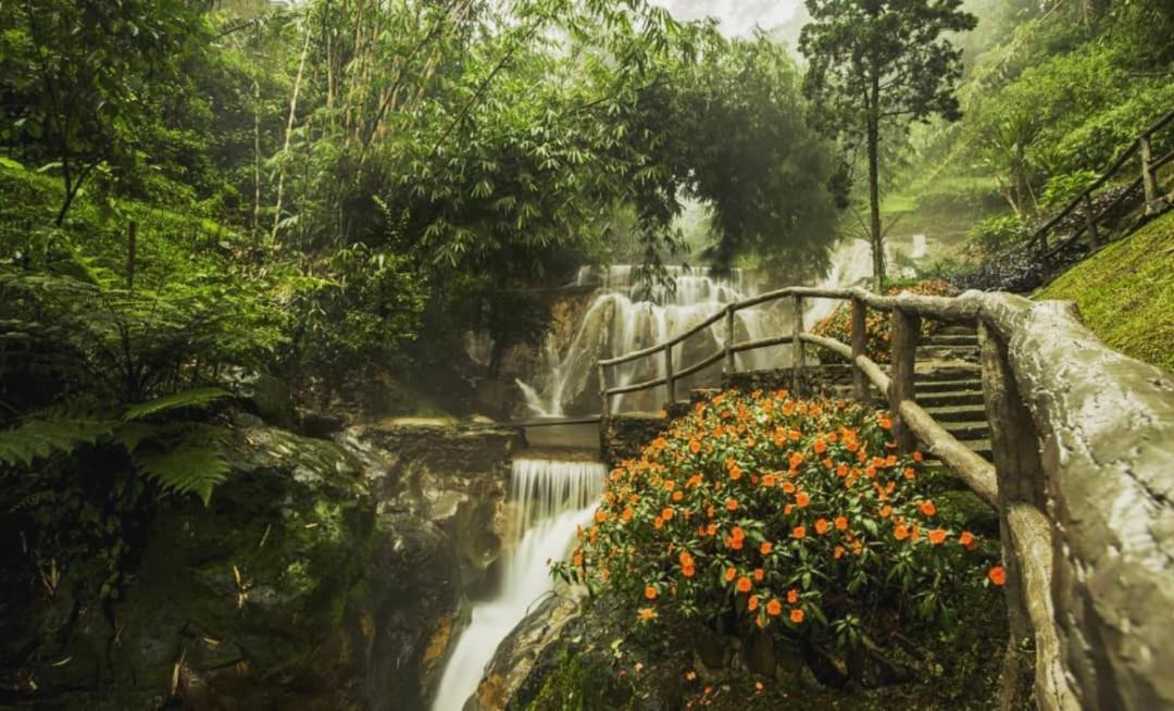 Photo of Others in Ciater