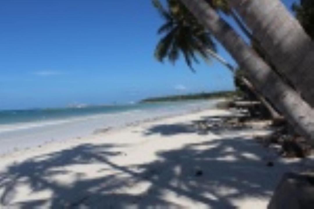 Photo of Others in Bira
